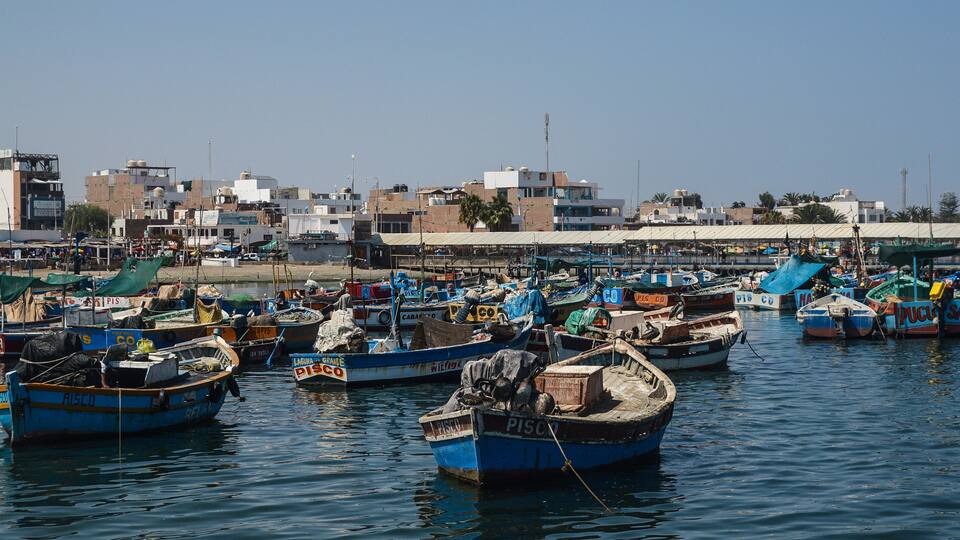 A harbor with numerous small boats docked, surrounded by buildings and a clear sky.