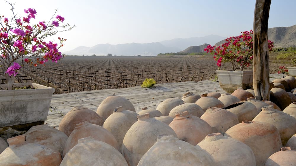 Industrial wine and pisco production, at vineyards near Ica, Peru