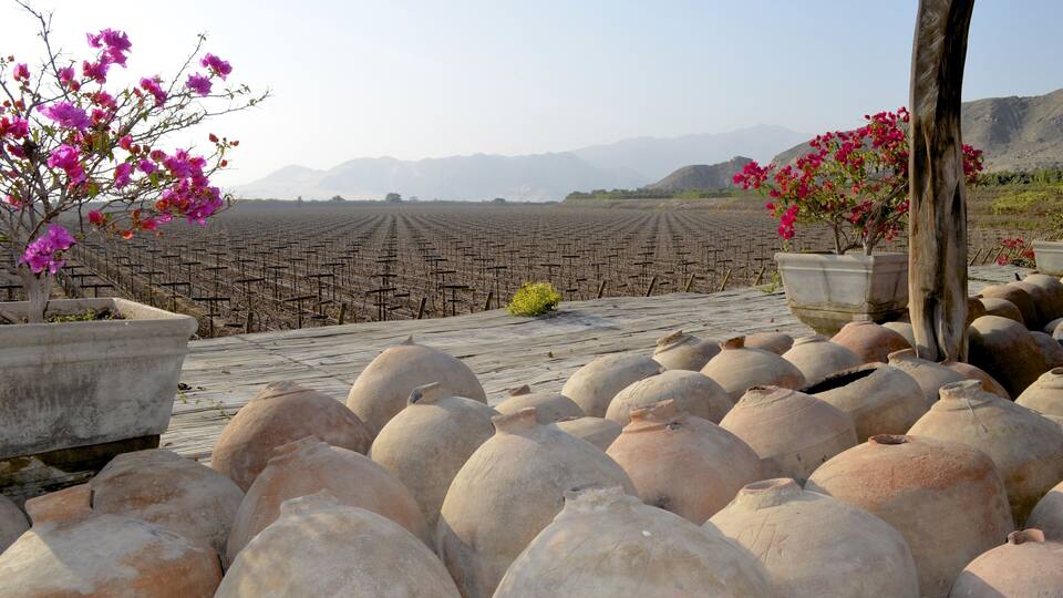 Terraced fields, large clay pots, and flowering plants.