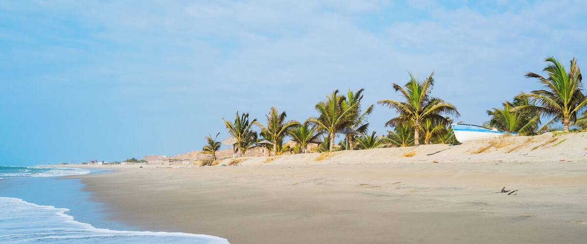 A sandy beach with palm trees and a boat in the background.