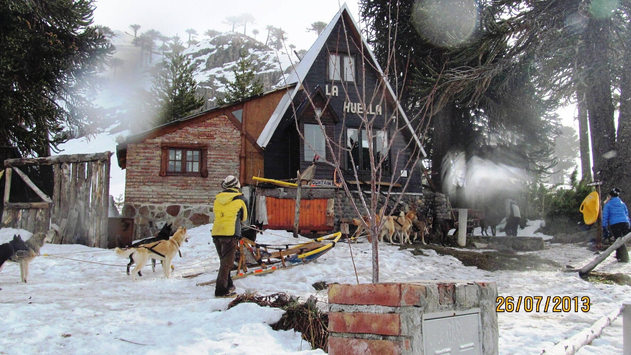 In this place, La Huella, they organized short trips with sleds, lead by dogs.