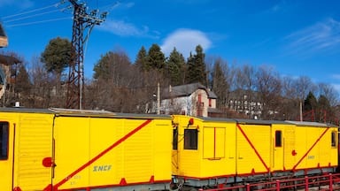 A yellow train with red stripes on the tracks, surrounded by trees and a building in the background.