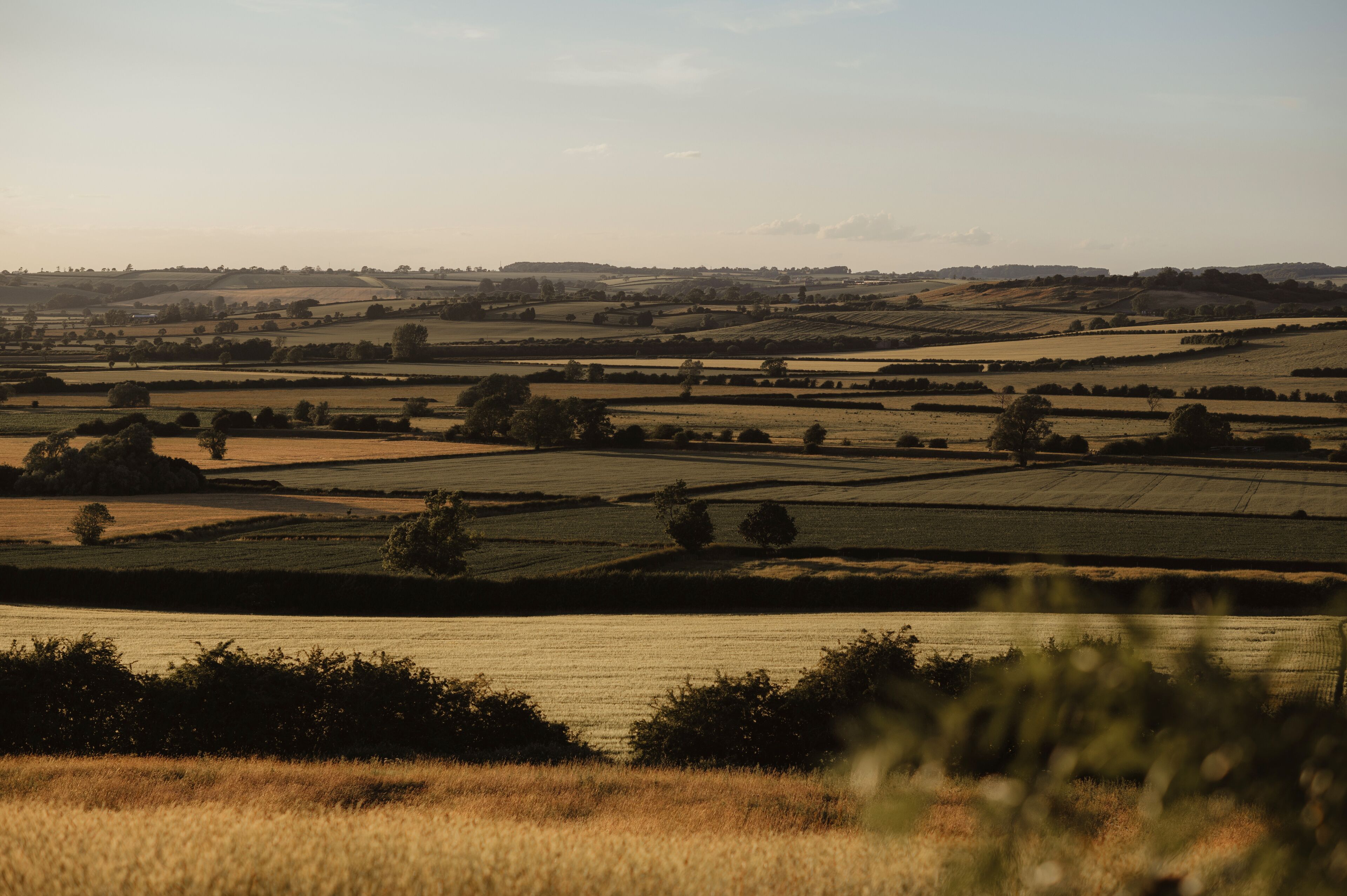 View to the green and yellow fields from the hill.