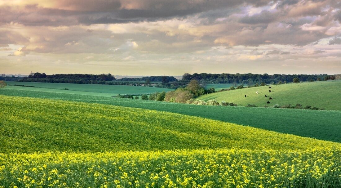 Little Weighton, East Riding of Yorkshire, England.