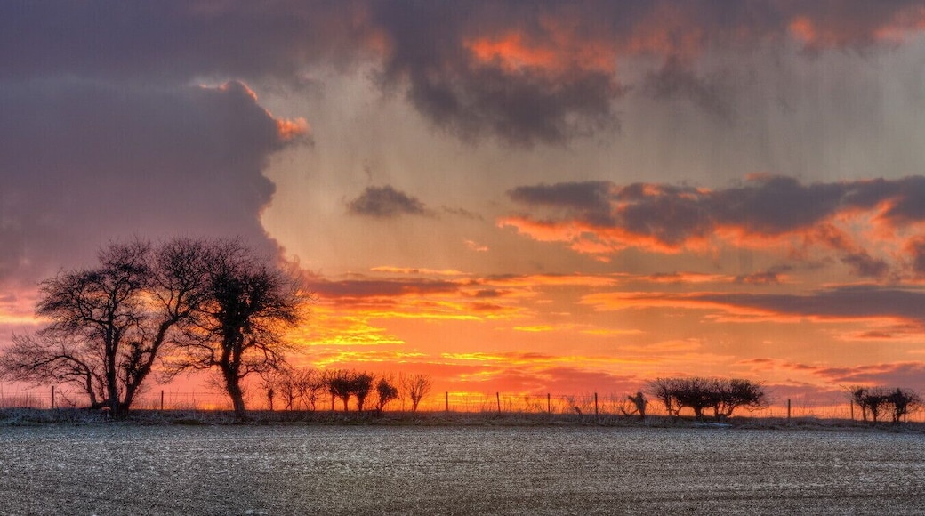 Walkington Road, Little Weighton, East Riding of Yorkshire, England.