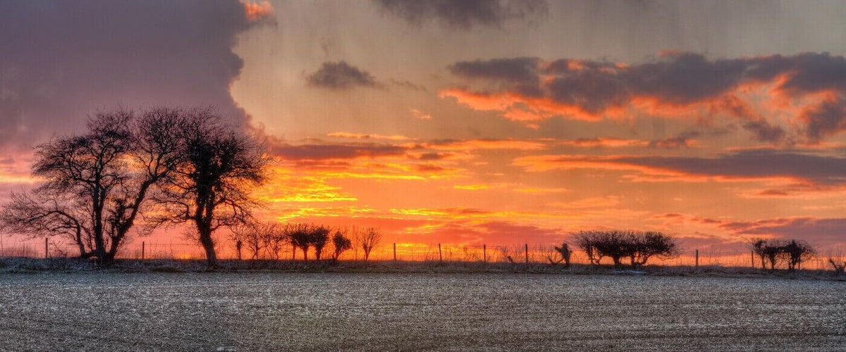 A sunset over a rural landscape with bare trees and a fence line.