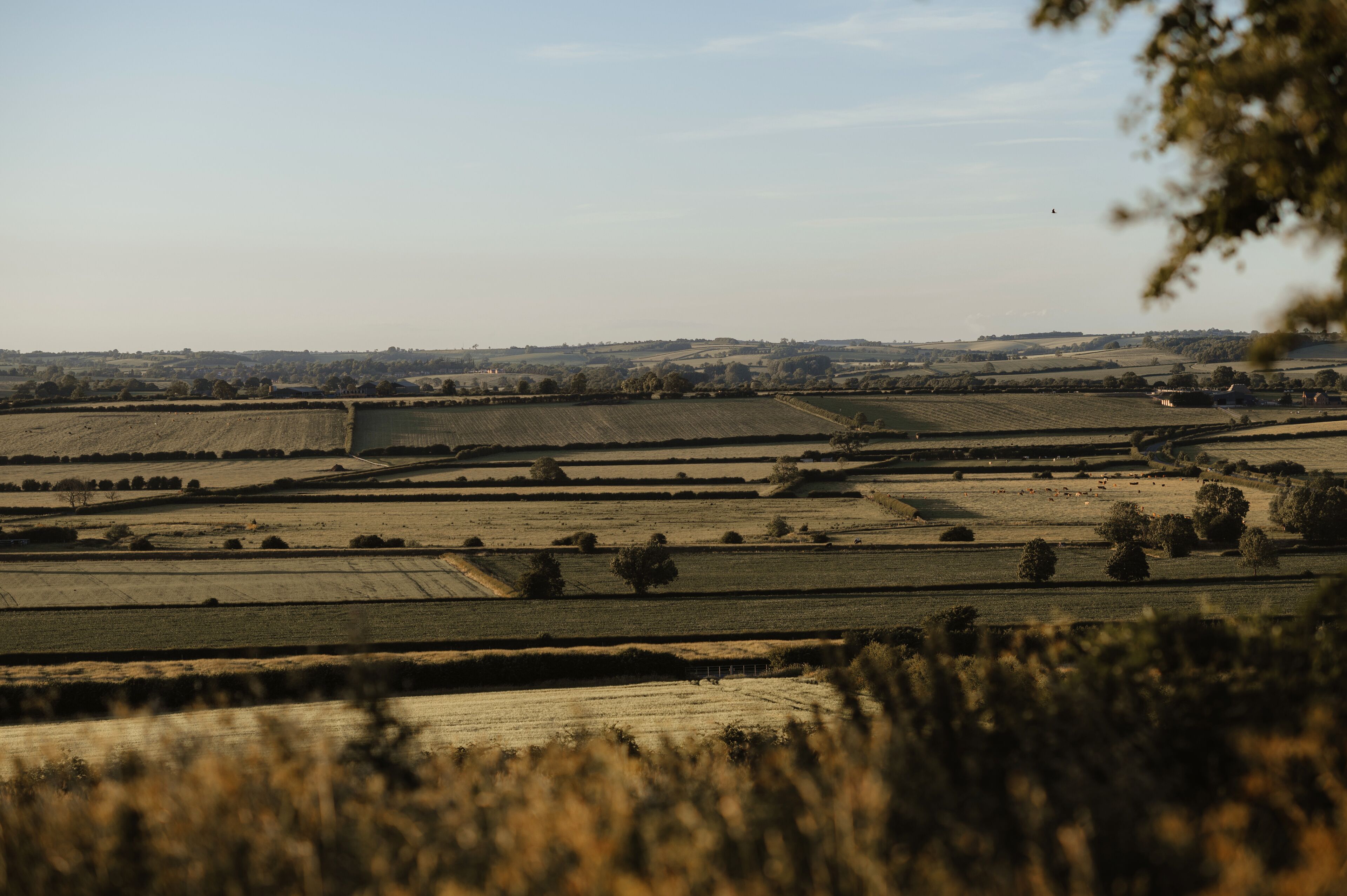 green fields and blue sky from the hill.