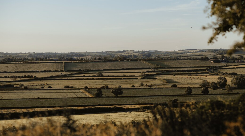 green fields and blue sky from the hill.