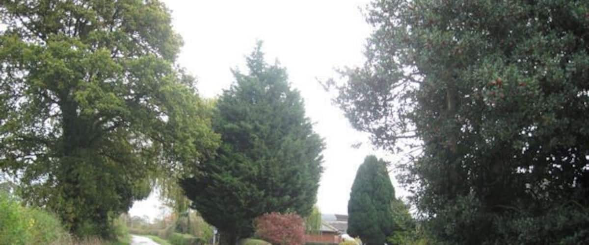A narrow rural road flanked by dense hedges and trees.