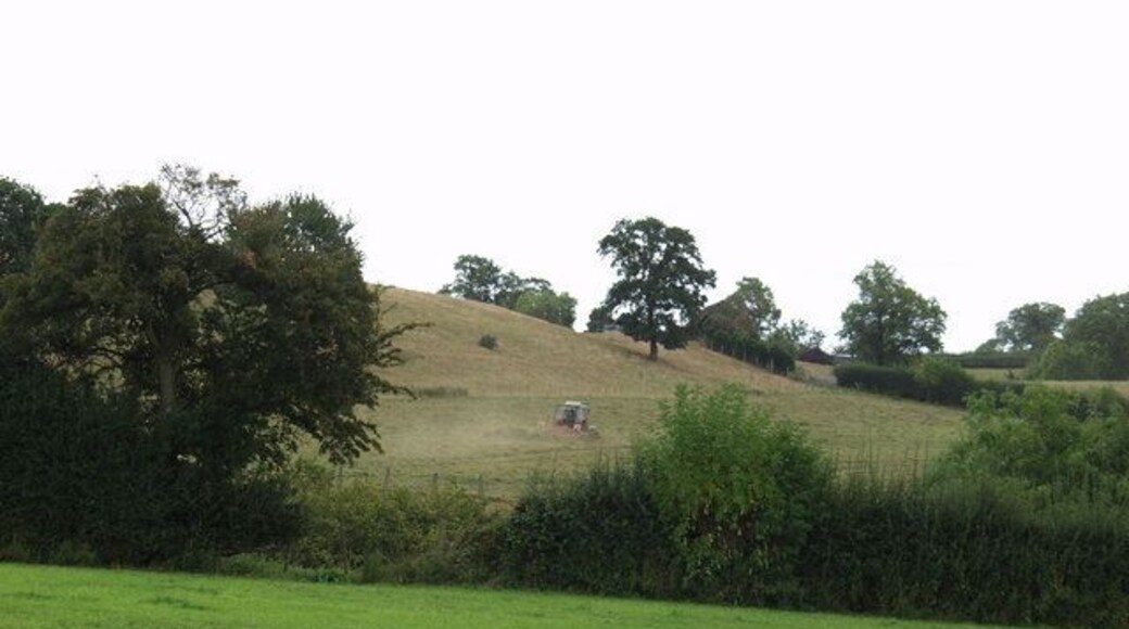 Tedding hay at Cefn Briw Lovely sunny day is ideal for tedding hay. The grass has to be dried before it can be baled. Tedding is the main means a farmer has to achieve this.