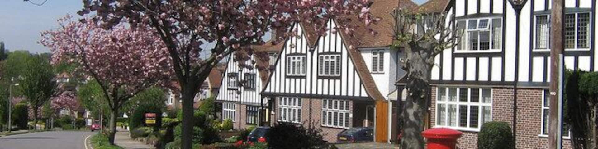 Park Avenue. Park Avenue was developed in various stages either side of the Second World War, which perhaps explains the variety of housing designs in the road. This particular design of house is used both here in Park Avenue and in nearby Sevenoaks Road, Charterhouse Road (see 1161392) and Repton Road (see 1161395.