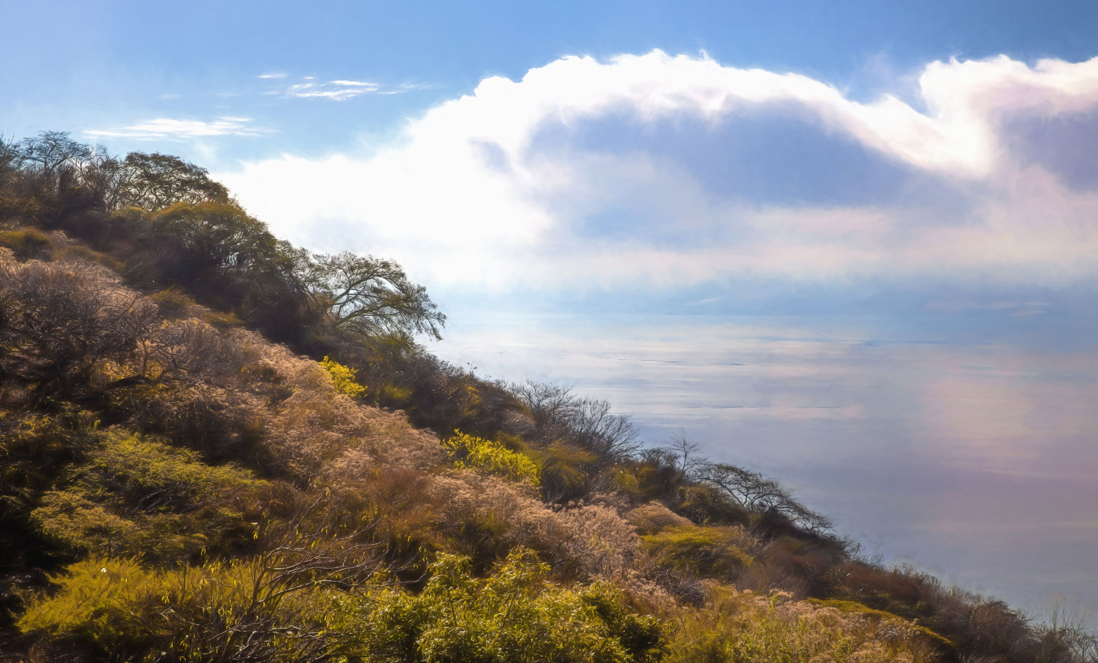 A mountainous landscape with dense vegetation and a prominent cloud formation.