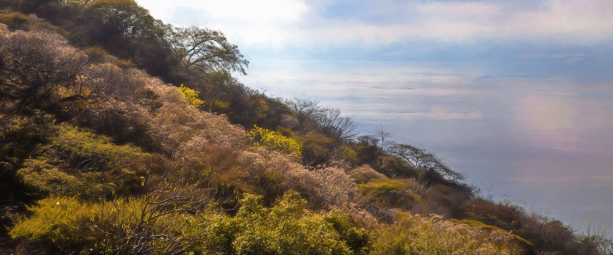 A mountainous landscape with dense vegetation and a prominent cloud formation.