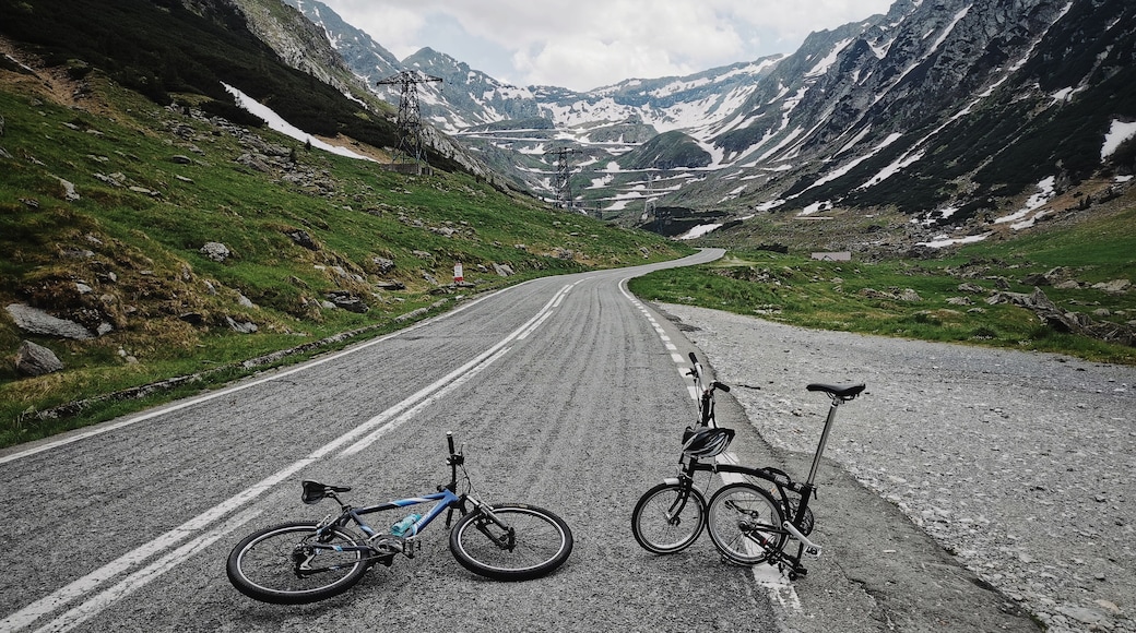 Some call it the best road in the world. We call it a challenge at the beginning of every summer, when we get on our bikes, more or less trained, and try to climb it. Highly recommended if you visit Romania. Watch out for those crowded summer weekends, though.
#romania #transfagarasan #mountains #biking