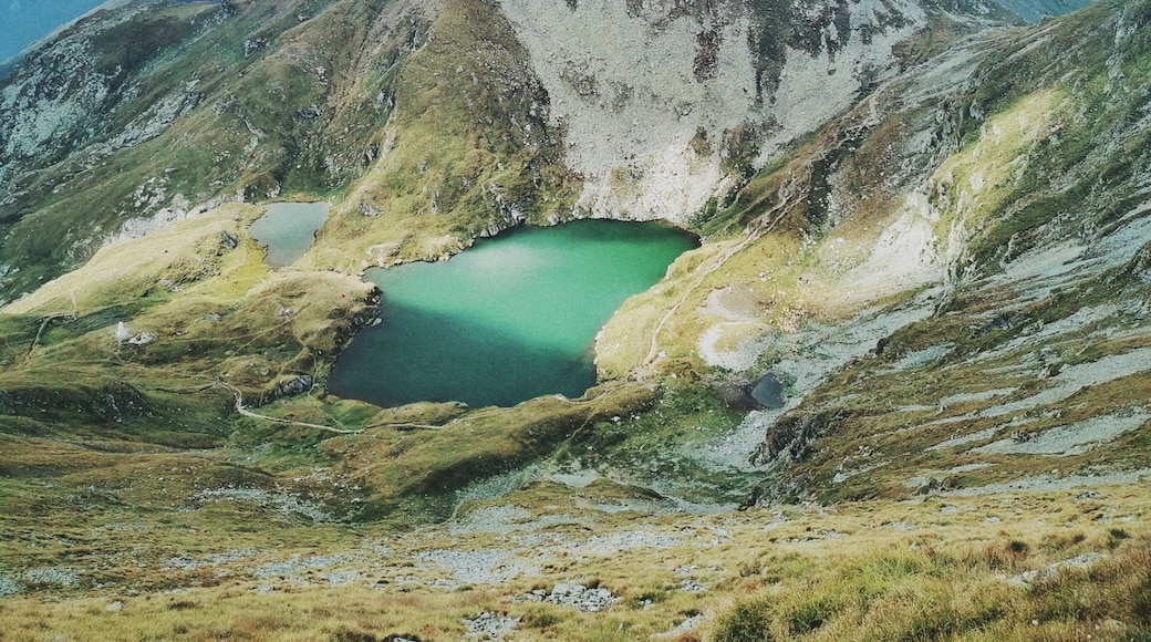 One hour trek away from the top of the Transfagarasan road, you'll find peace and quiet. You'll also be almost in the middle of the Fagaras ridge trail, one of the more serious challenges for mountain lovers around here.
#romania #fagaras #mountains