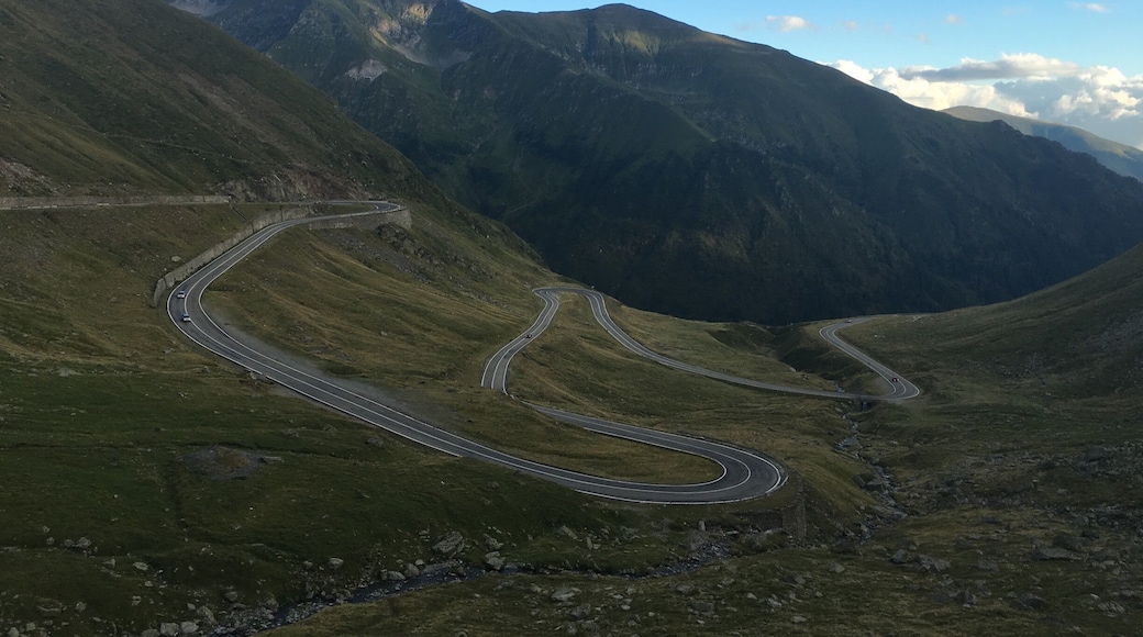 Take the road less travelled.