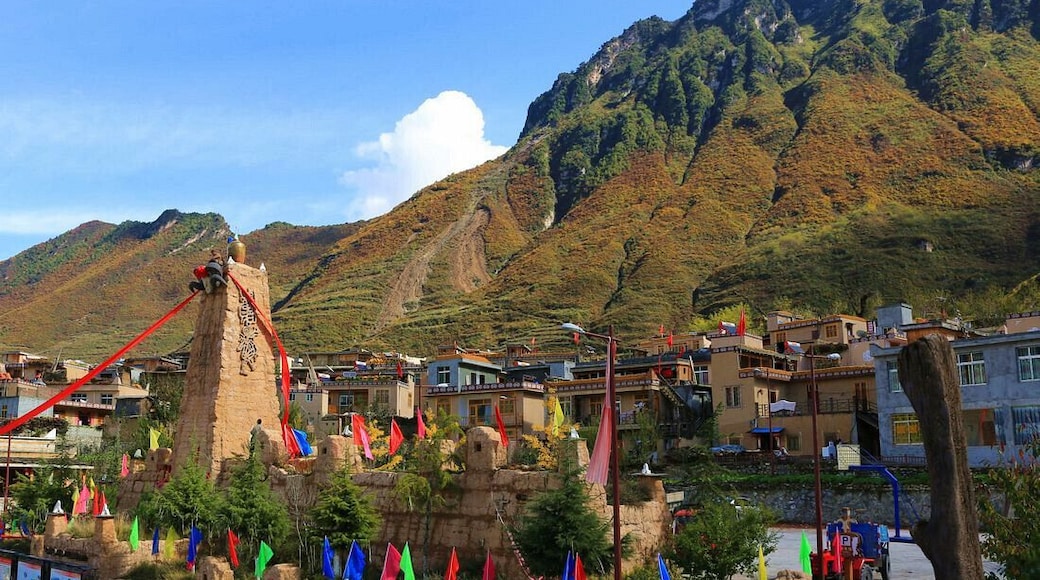Sichuan #LuboVillage——The largest and oldest Yellow Mud Qiang Village in the world.
https://twitter.com/Beautifulgx