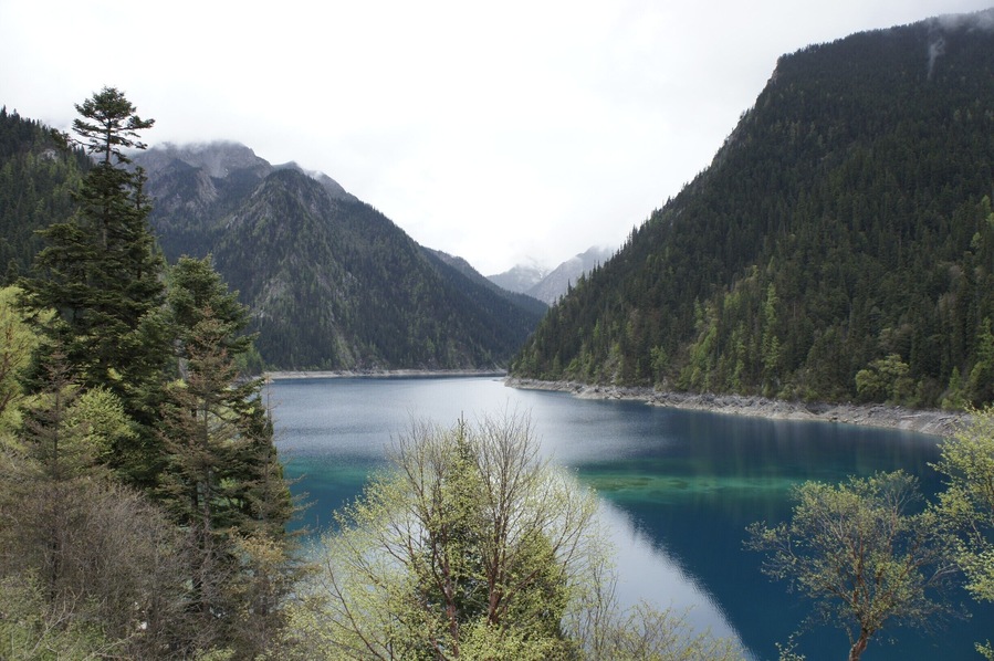 Jiuzhaigou National Park in China has the most clear water in its colorful lake. It is truly beautiful. I wish I will be able to see this place during fall, when all the trees turn orange and yellow.
It is very popular amongst the Chinese people, but the area is quite large so it doesn't feel crowded.
#china #nature #landscape #NationalPark #hiking #colorful #jiuzhaigou #BestOf5