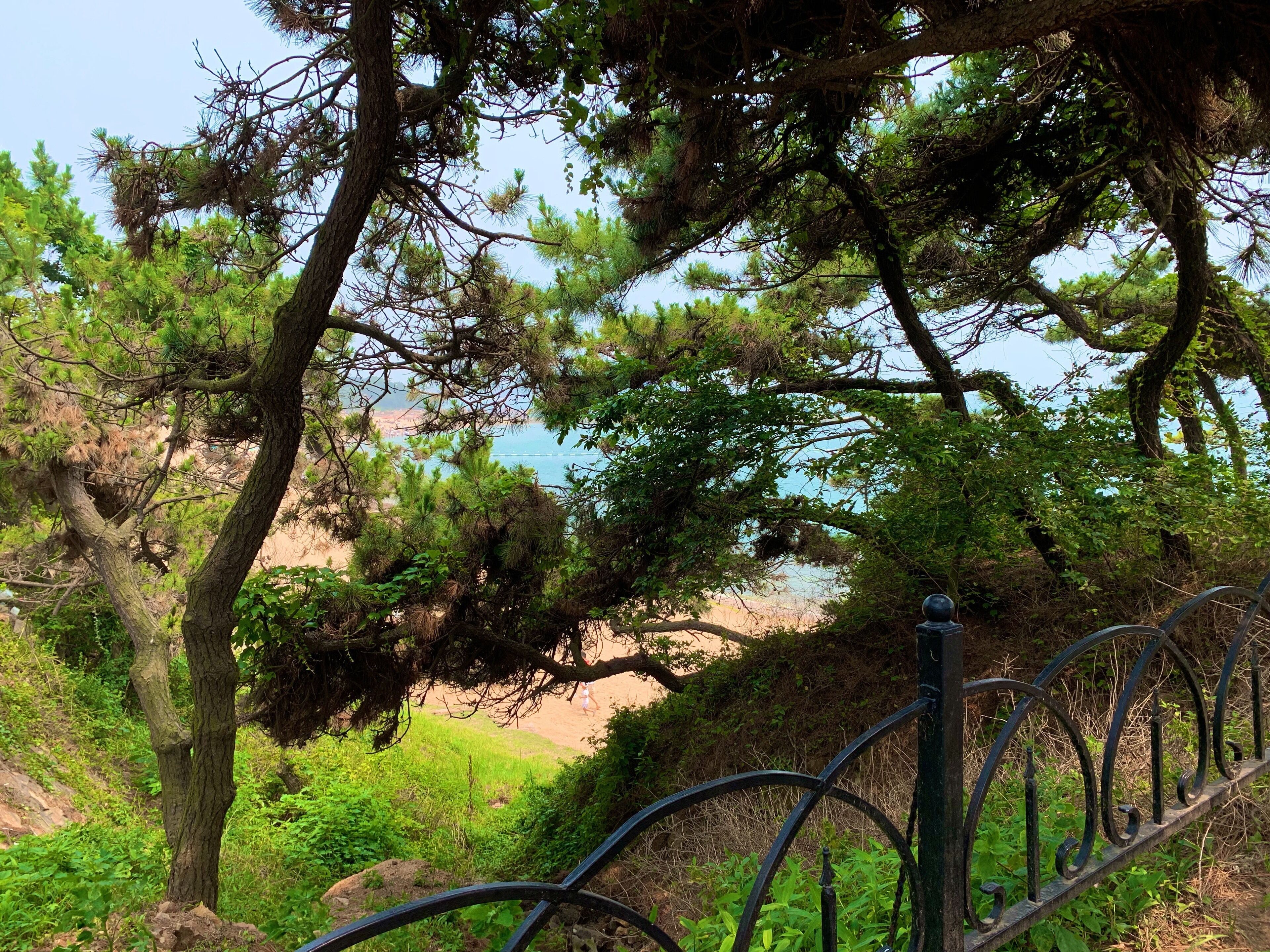 Qingdao Second Beach in the historic German district of Qingdao is a large beach on the Yellow Sea. There are several garden paths above the beach and on most days you’re likely to see a few wedding parties having their pictures done on this bit of coastline. #Beaches #LifeAtExpedia