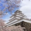 Tsuruga castle in Aizu Wakamatsu, Fukushima prefecture.
#Japan #Tohoku