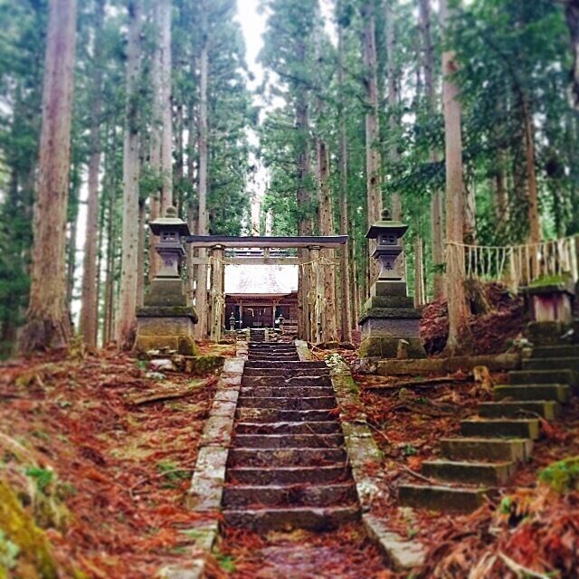 A hidden temple in a forest at Ouchi-juku, Fukushima prefecture

#tohoku # japan