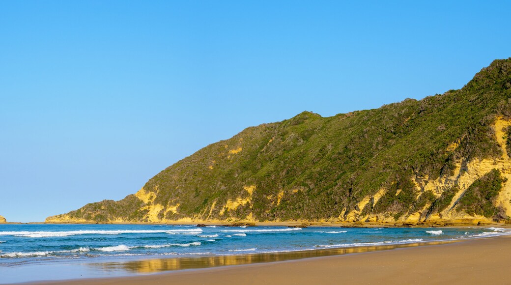 Beach scene at Gericke's (Gerickes )Point on Swartvlei Beach near Sedgefield. Garden Route. Western Cape. South Africa