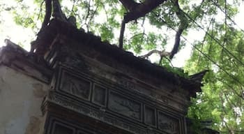 ćșćŒçć°çŠ
éą