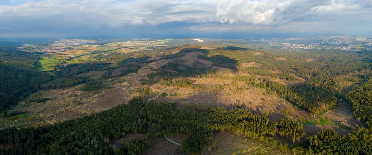 A mountainous landscape with dense forests, a winding road, and a distant town.