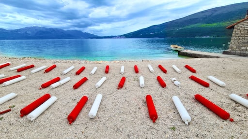 Herceg Novi