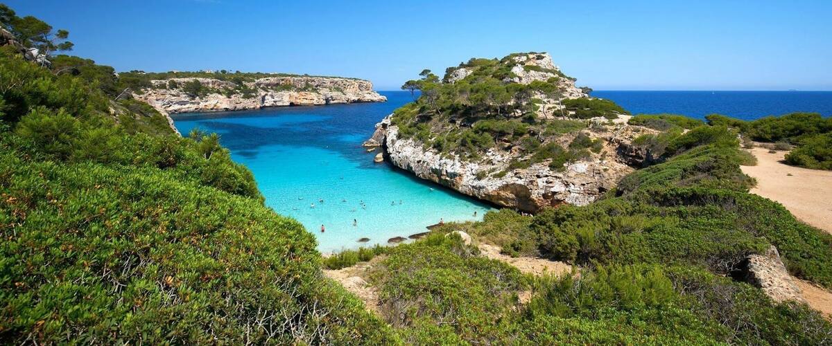 Must to go so Early in the Day