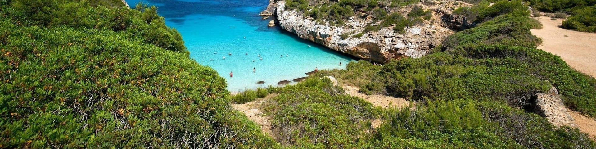 Must to go so Early in the Day