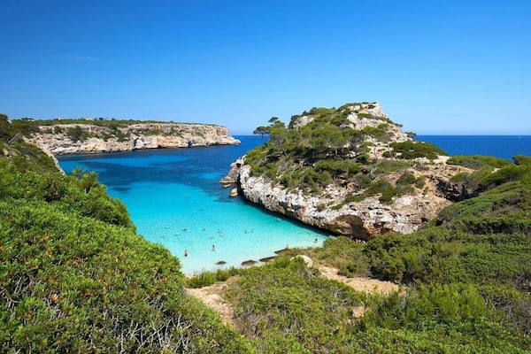 Must to go so Early in the Day