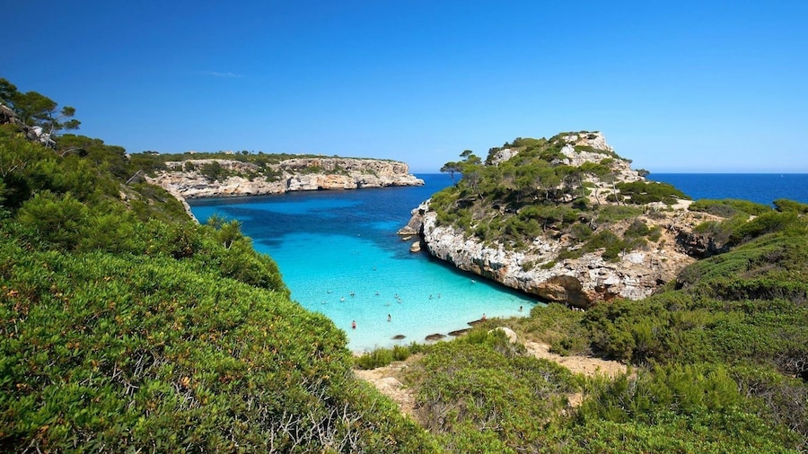 Must to go so Early in the Day