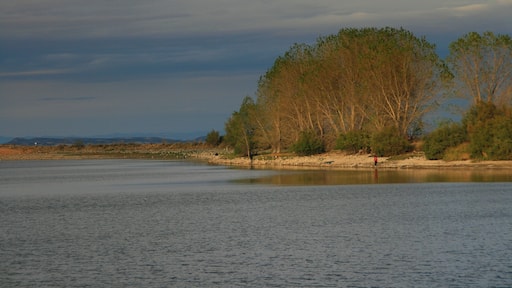 laguna de lor (navarra).