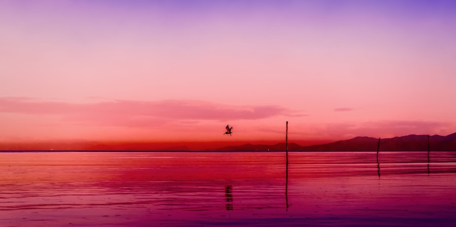 Ein Sonnenuntergang über ruhigem Wasser, im Vordergrund eine Person als Silhouette auf einem Steg.