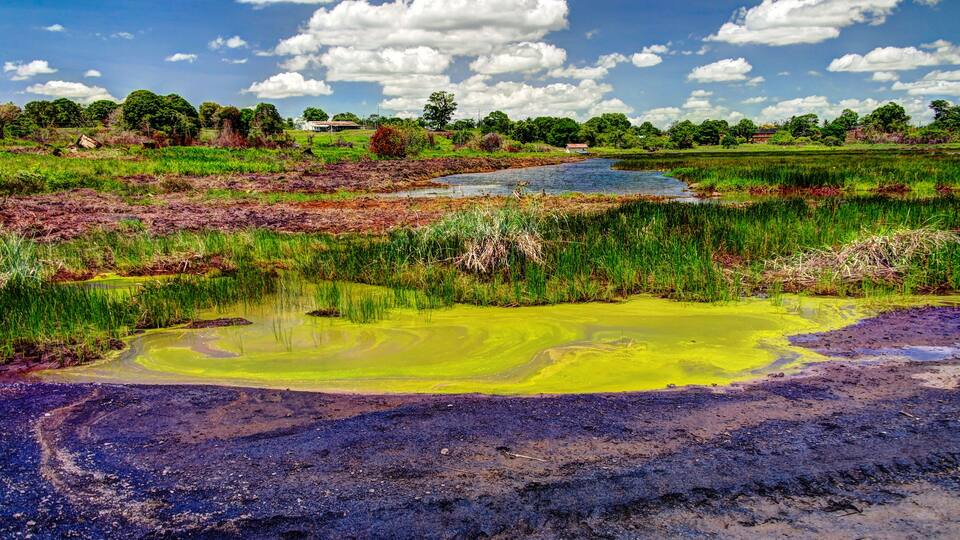 A landscape with a large yellow pond, green fields, and a small body of water.