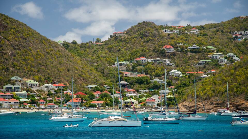 A coastal village with houses on a hillside and boats in the water.