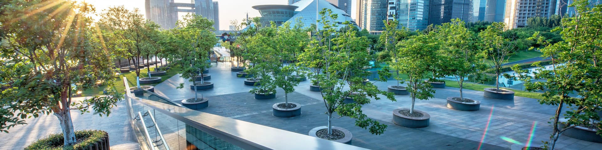 Urban jungle, modern Hangzhou Jianggan cityscape on a beautiful day, Hangzhou, Zhejiang, China