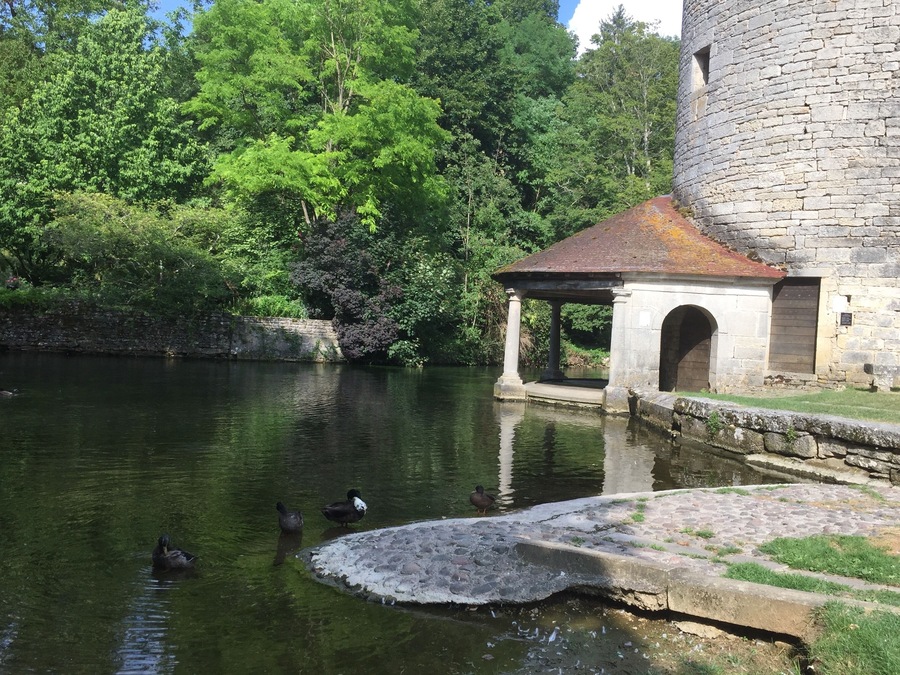 Beautiful walks