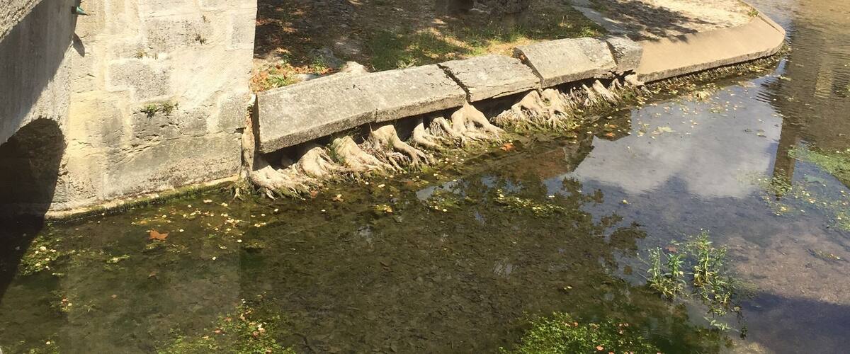 This is a beautiful little village in France half way between north & south It has beautiful square with little cafes & bars with beautiful little B&B’s There is a old monastery there with houses a beautiful pond with a stream leading into it where you can see family’s of ducks & other wild life it is so peaceful the little houses are painted in stunning colours the locals are so friendly & the food is amazing