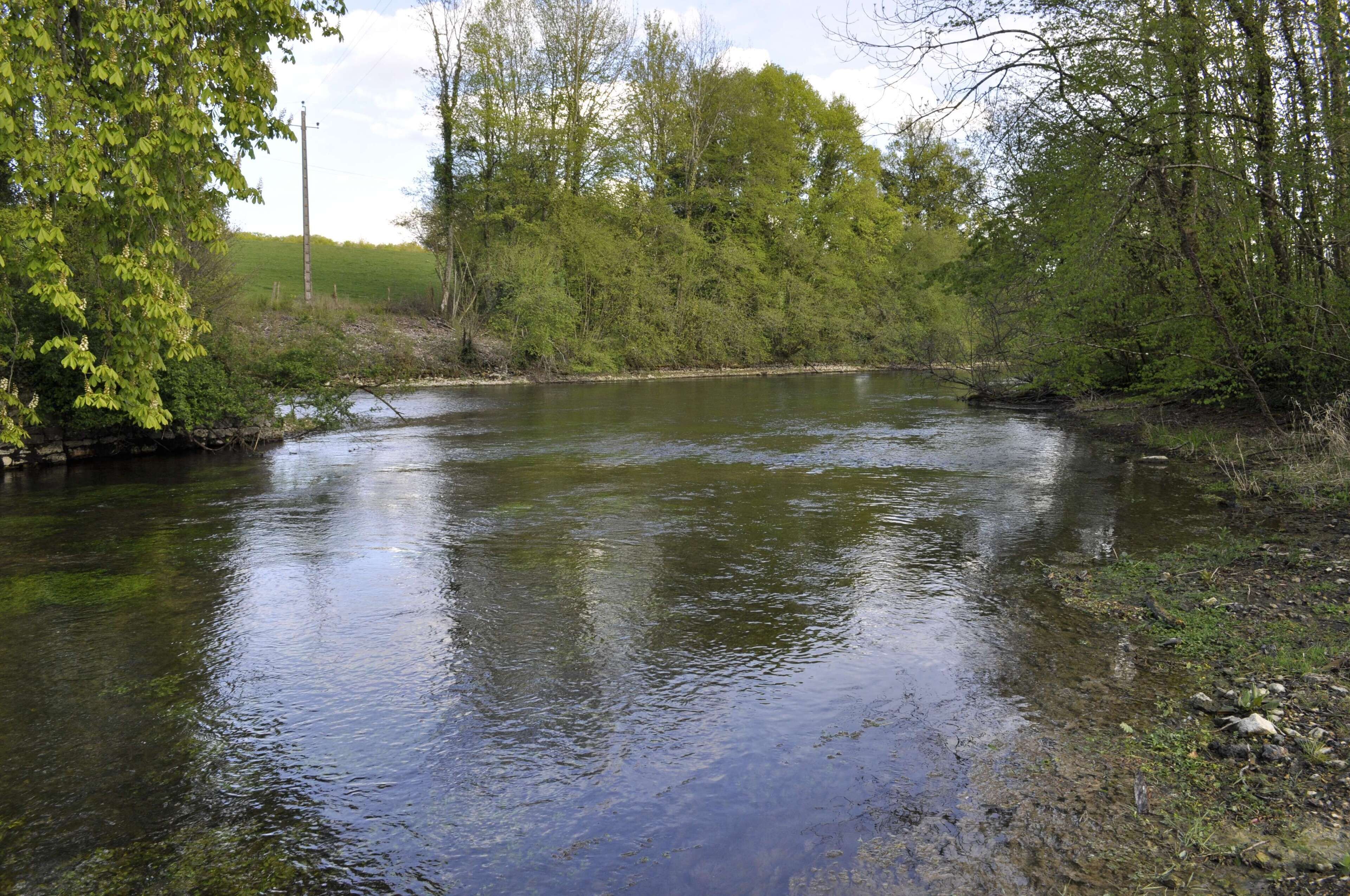 La Bèze à Bèze (Côte d'Or).