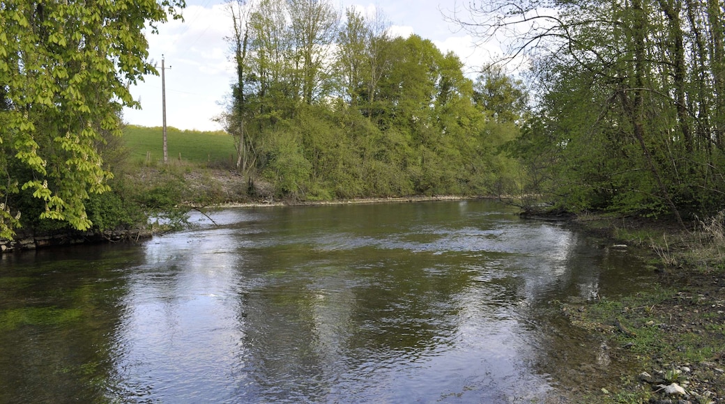 La Bèze à Bèze (Côte d'Or).