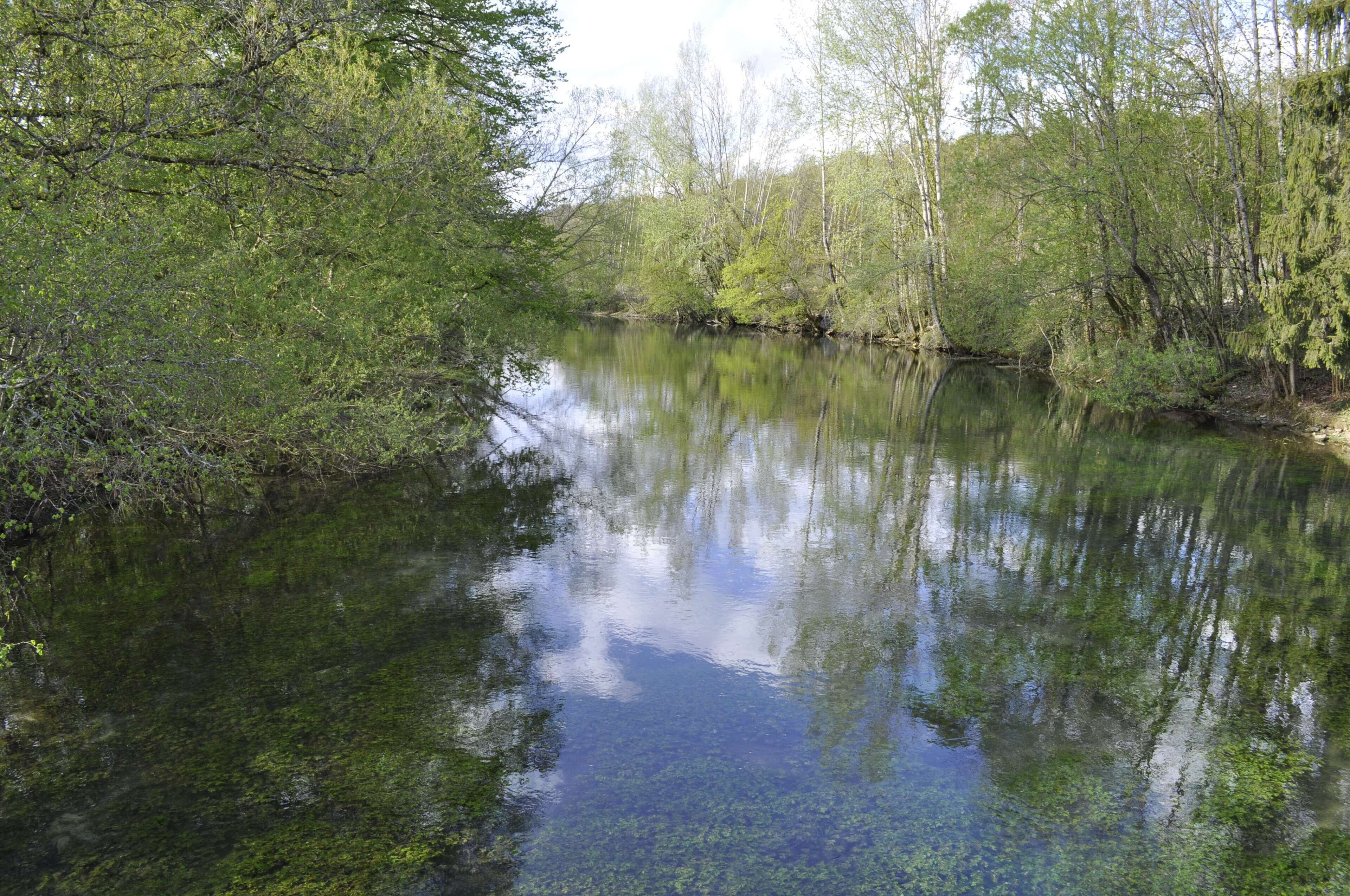 La Bèze à Bèze (Côte d'Or).