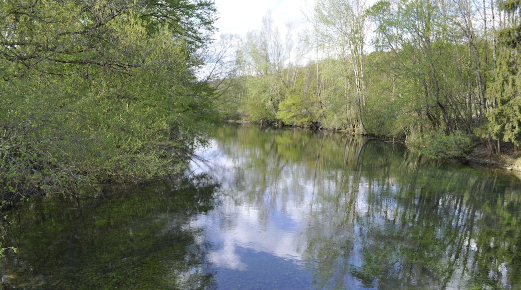 La Bèze à Bèze (Côte d'Or).
