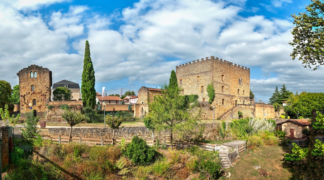Mont-de-Marsan is a French town and commune, capital of the Landes department in the New Aquitaine region.