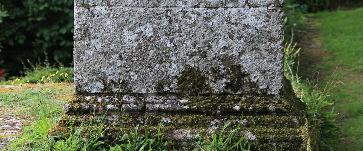 A weathered stone monument with moss and vegetation growing on it, surrounded by lush greenery.