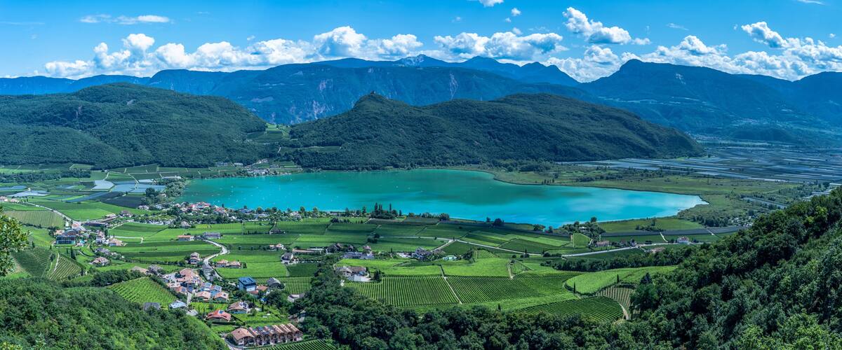 A mountainous landscape with a lake, vineyards, and a small village.