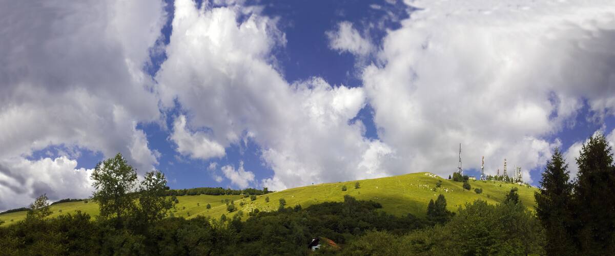 A green hill with trees and a clear sky.