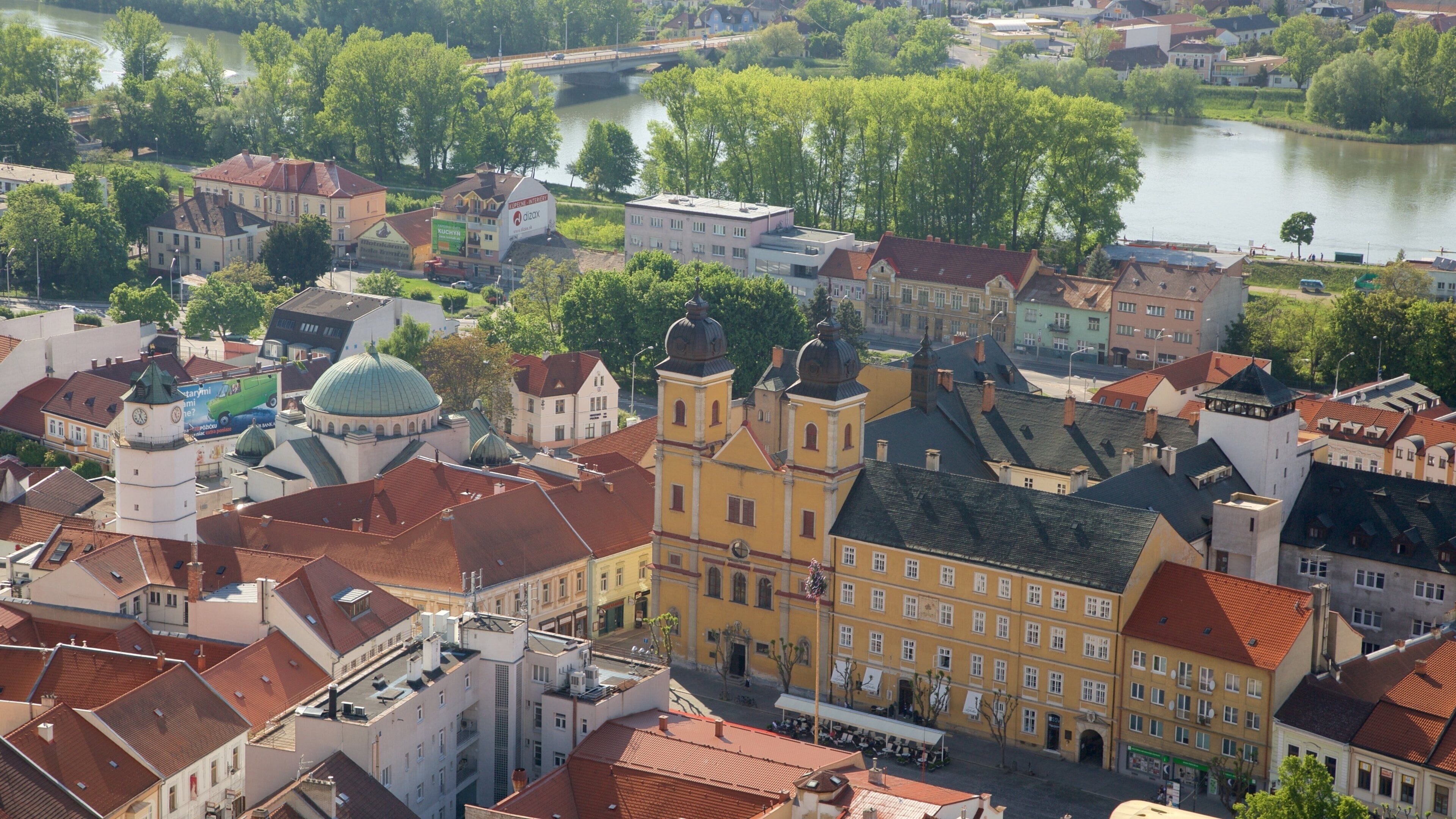 Trencin featuring a city