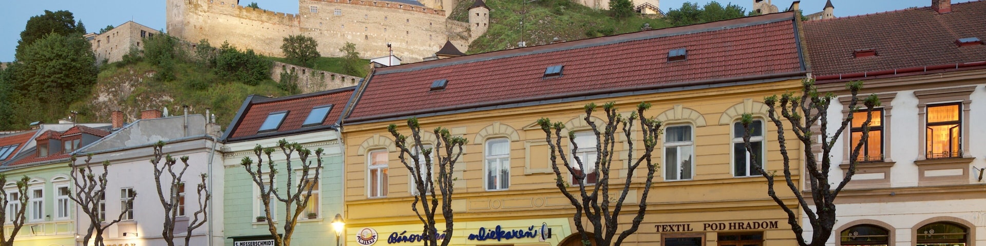 Trencin featuring street scenes
